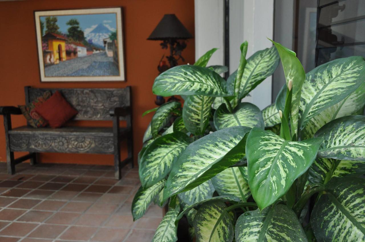 Apart-Hotel Posada San Judas Ciudad de Guatemala Exteriér fotografie